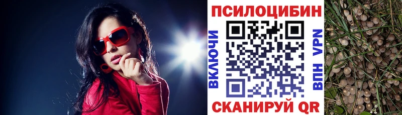 Псилоцибиновые грибы Cubensis  Нытва 